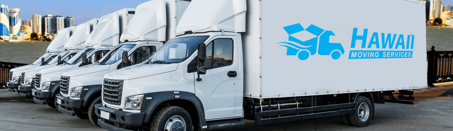 Hawaii Moving Services – Case Study